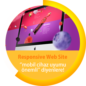 Responsive Web Site